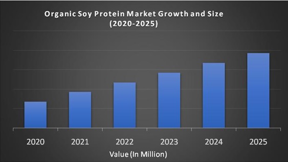 Organic Soy Protein Market